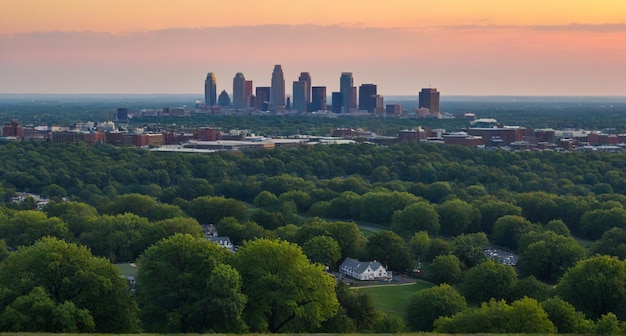 Photo a city skyline with a few trees and a building in the background