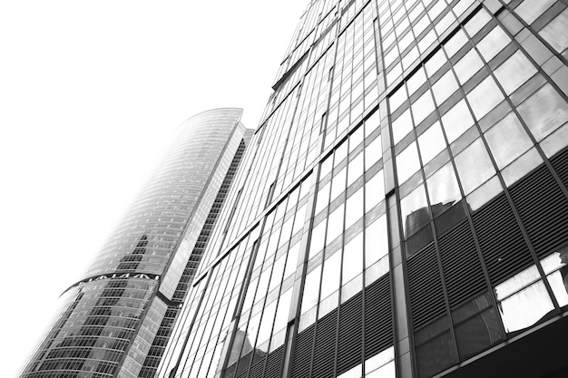 city skyscrapers isolated on white background