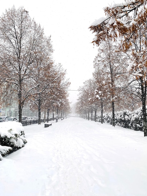 City street in the snow without people Snowing