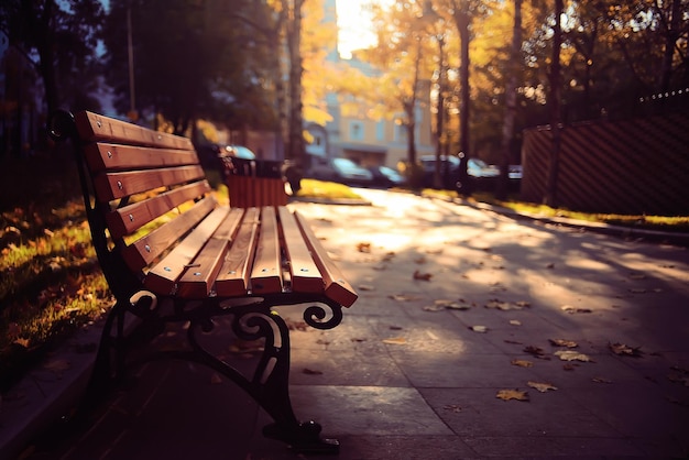 City Trips concept bench in autumn park background