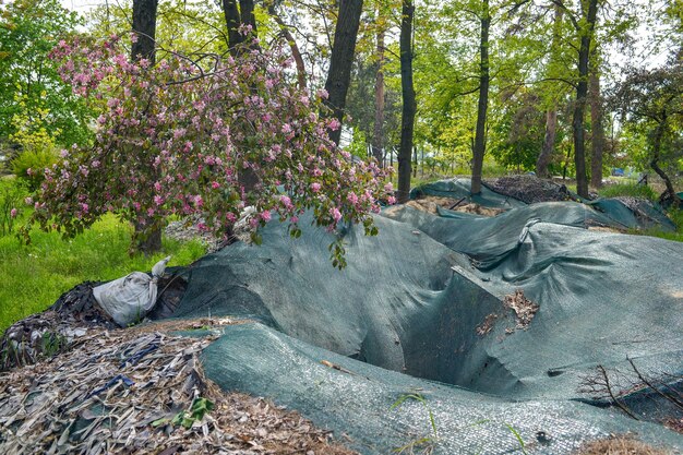 The citys defense line runs through a park with cherry blossom trees antitank urchins