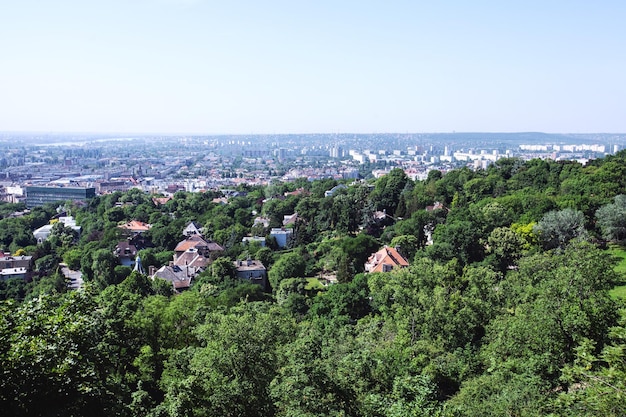 Cityscape houses and trees green City Hungary Budapest