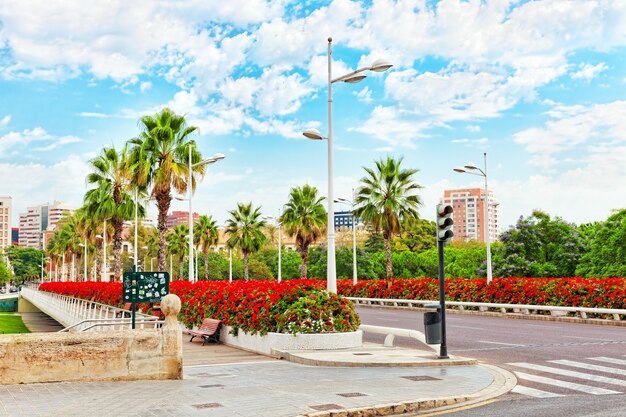 Cityscape of Valencia - third size population  city in Spain .