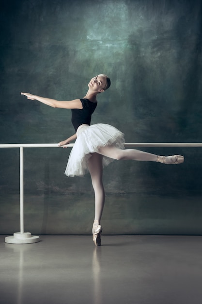 The classic ballerina posing at ballet barre