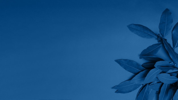 Classic blue background of exotic leaves is painted in classic blue color