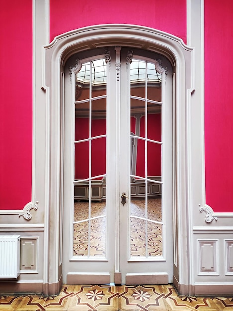 Classic style interior wooden doors with mirror