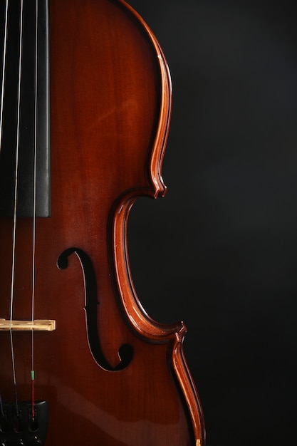 Classical violin on dark wall