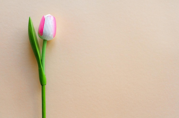 Clay tulip on a peach background copy space empty background