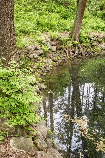 Clean calm forest lake whose banks are lined with cobblestones in a forest park