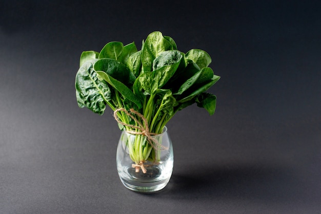 Clean food concept. Bunch of leaves of fresh organic spinach greens in a glass on a black background. Healthy detox spring-summer diet. Vegan Raw Food.