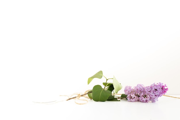 Clean notepad with spring lilac flowers on white wooden background