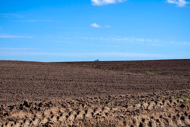 Clean plowed agricultural field with blue sky on the horizon