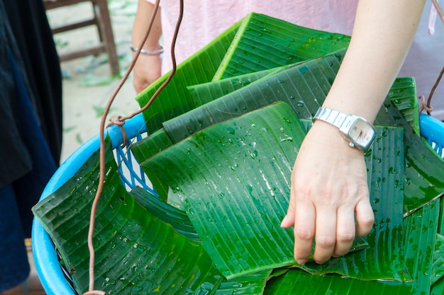 Clean traditional environmentally friendly packaging material emerald green banana leaf