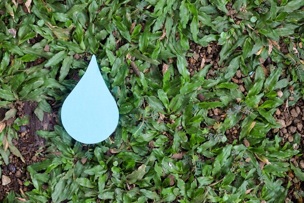 Clean water drop on green grass with copy space, world water day, save water.