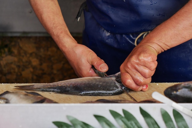 Photo cleaning fish for further cooking