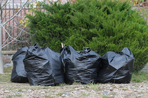 Cleaning leaves in private houses in autumn waste recycling concept