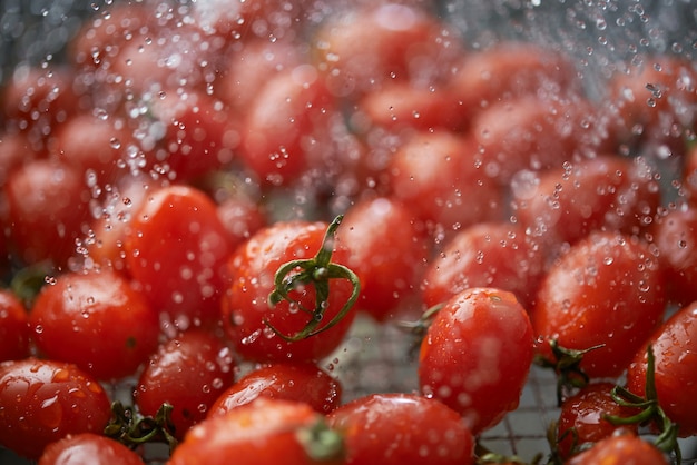 Cleaning the vivid red ripe tomatoes in the metal wire basket