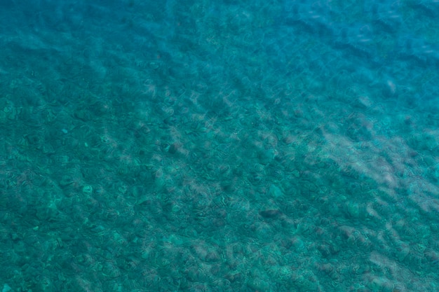 clear blue sea water and rocks at the bottom of the sea