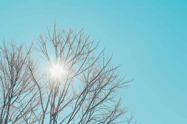 Photo a clear blue sky with the sun shining through it