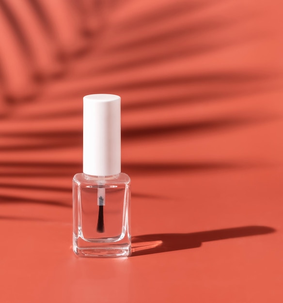 Clear Glass Refillable Bottle with Brush Cap on pink palm leaf hard shadow Nail product Mockup