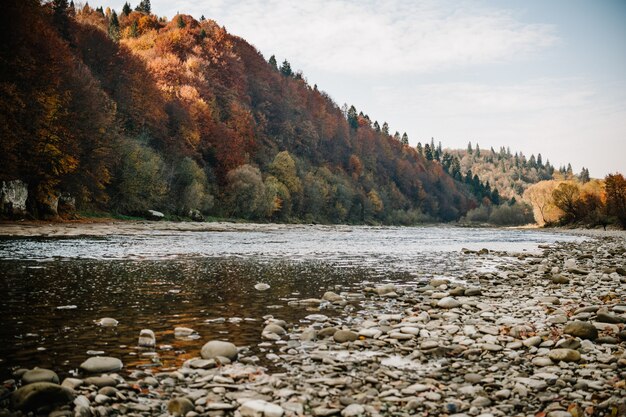 Clear river with rocks leads towards mountains