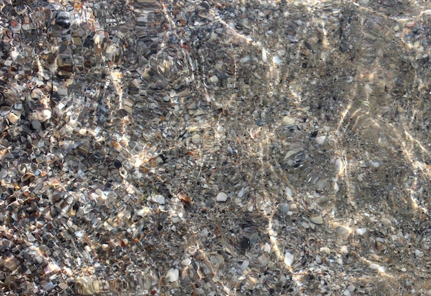 Clear sea water with shells bottom