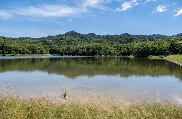 Clear water surface of the small reservoir.