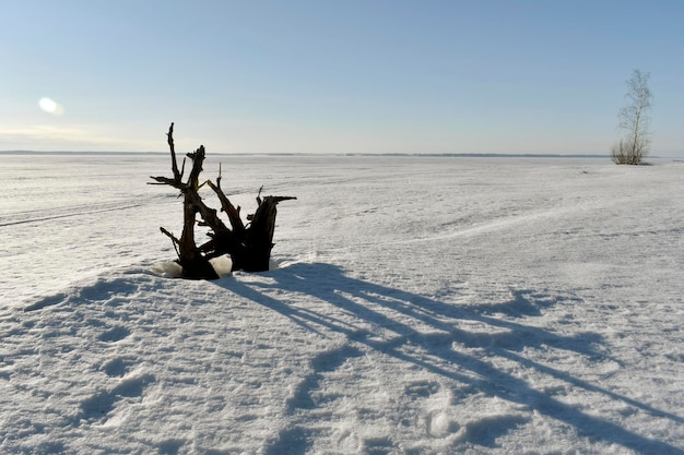 A clear winter day on the Volga River