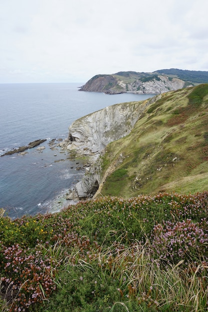  cliff in the coast               