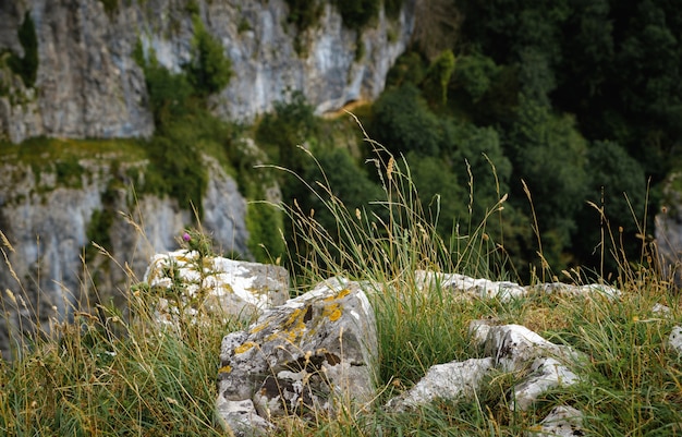 Cliffs of Cheddar Gorge from high viewpoint.