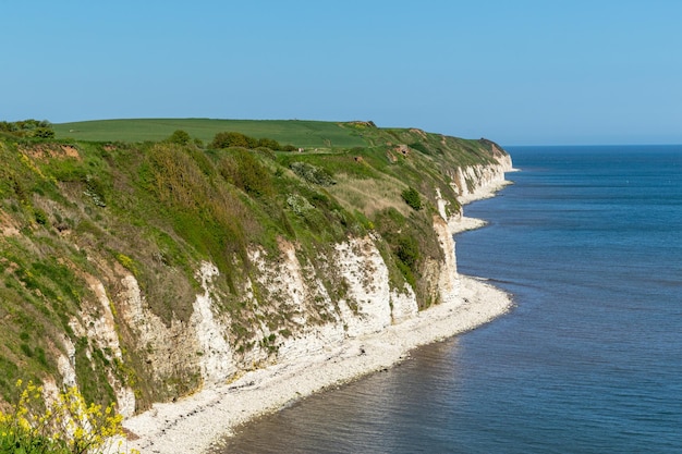 Photo the cliffs on the coast are white and the sea cliffs are white