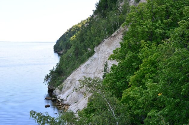 cliffs covered with green trees near blue water of the sea