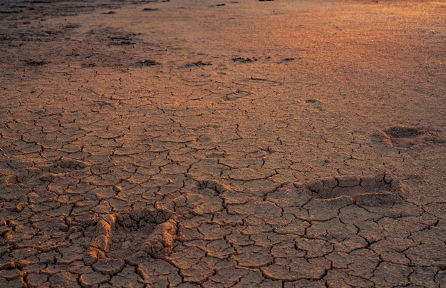 Photo climate change and drought land. water crisis. arid climate. crack soil. global warming. environment problem. nature disaster. dry soil. footprint on drought land.