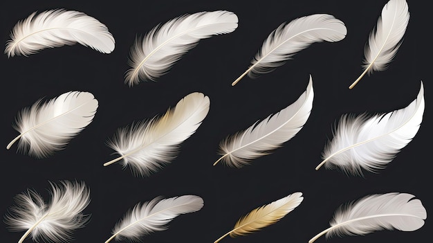 Clipart Bird Detailed Feather in Various Shapes on black background