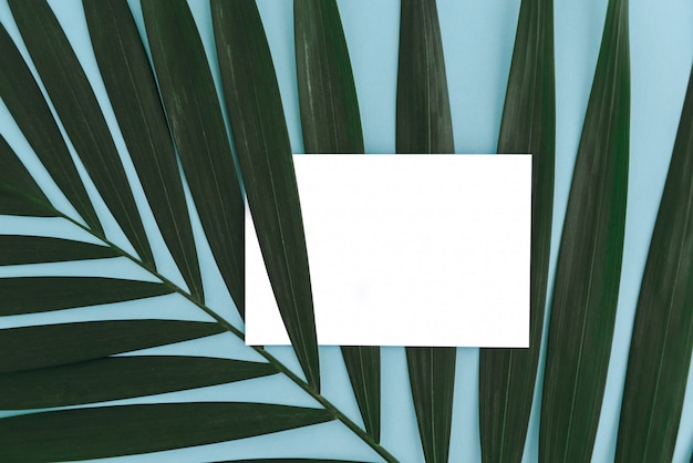 Clipboard with blank piece of paper on big green leaf of palm tree on blue