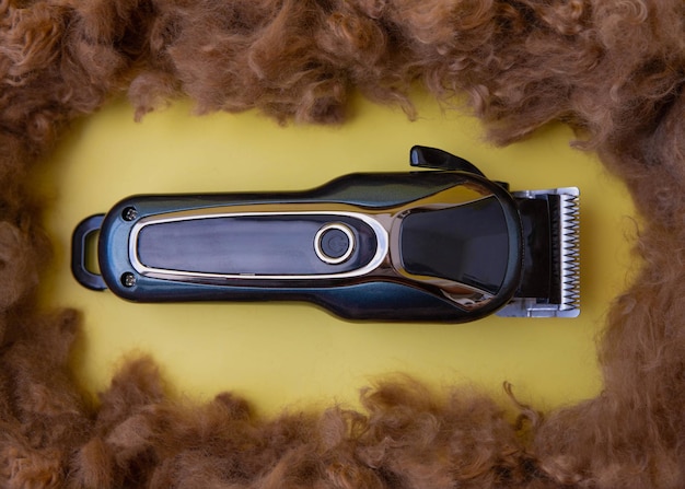 A clipper on a yellow background around the trimmed coat of a poodle