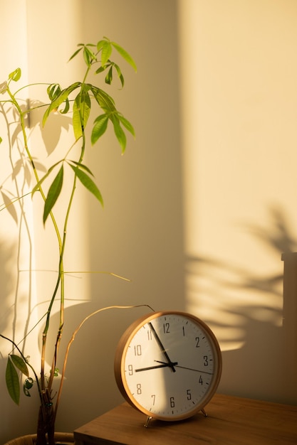 Clock and plant at bedroom