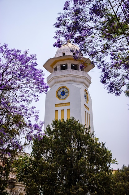 A clock tower with the time of 12 : 30.