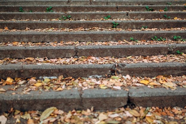 Close-up of an abandoned staircase strewn with yellow leaves.