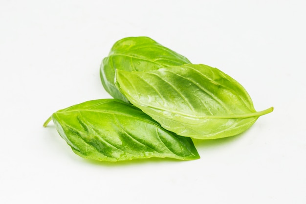 Close-up of aromatic leaves