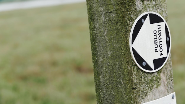 Photo close-up of arrow sign on tree trunk