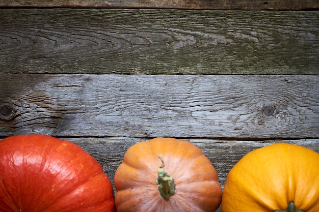 Close-up autumn pumpkins on thanksgiving table