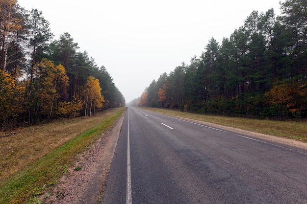 Close up on Autumn road