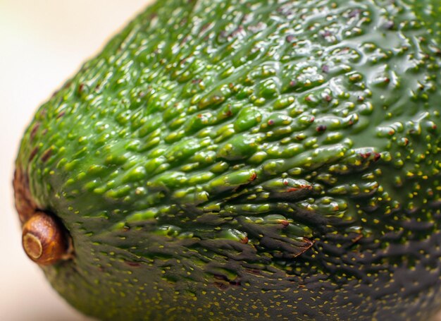 Photo close up avocado fruitai generative