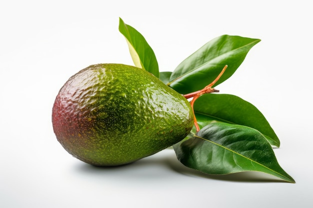 Close up of avocado with leaves on white background Generative AI