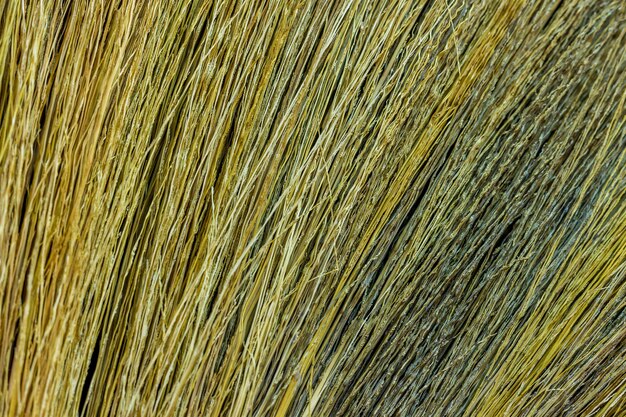 Close up of bamboo grass broom