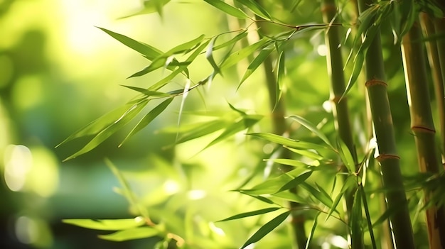 A close up of a bamboo plant with green leaves