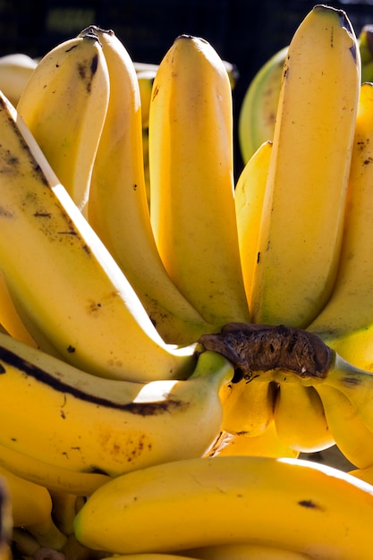 Close-up of banana bunch on street market stall