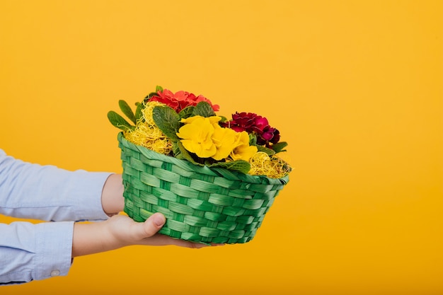 Close up, basket of flowers in hand  isolated on yellow wall