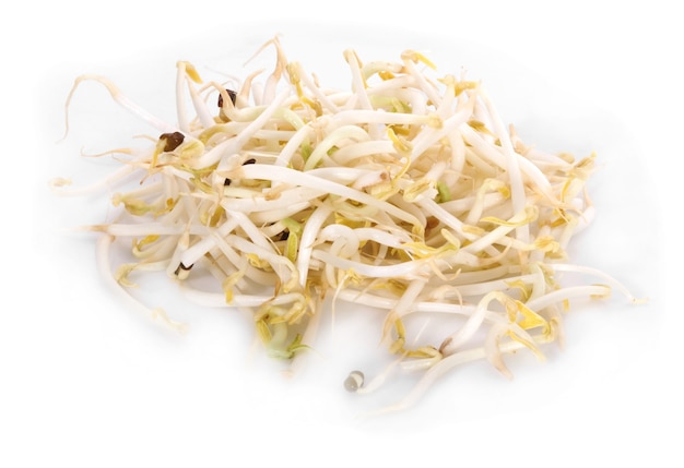 Close up bean sprouts in studio